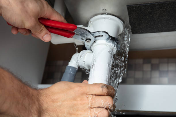 Best Flood restoration services  in Oquawka, IL