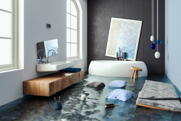  Oquawka, IL Water damage restoration Pros