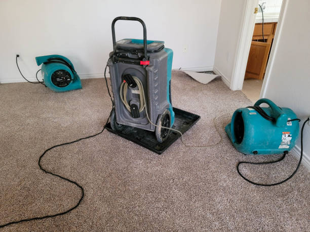 Best Water damage restoration services  in Oquawka, IL