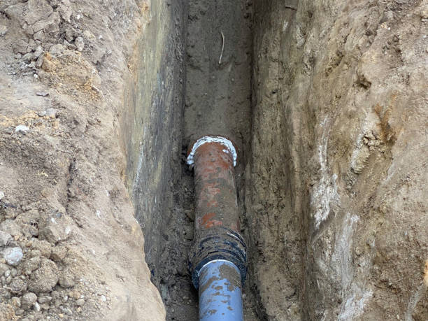 Best Flood restoration services  in Oquawka, IL