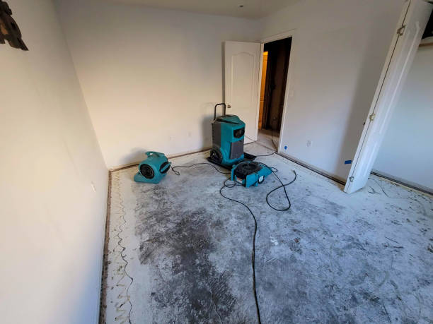 Best Water damage restoration process  in Oquawka, IL