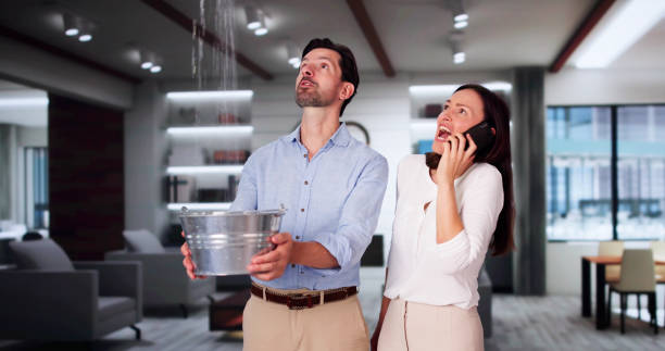 Best 24/7 water damage repair  in Oquawka, IL