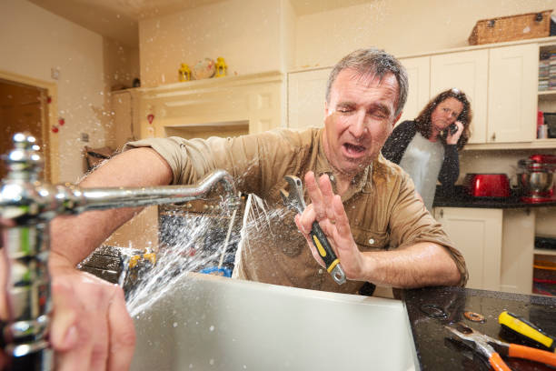 Best Flooded house restoration  in Oquawka, IL